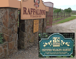 Certified Wildlife Habitat The National Wildlife Federation® (NWF) is pleased to recognize that Raffaldini Vineyards & Winery in Ronda, N.C. has successfully created an official Certified Wildlife Habitat™ site. NWF celebrates the efforts of Raffaldini Vineyards & Winery to create a garden space that improves habitat for birds, butterflies, frogs, and other wildlife by providing essential elements needed by all wildlife – natural food sources, clean water, cover, and places to raise young.

Certified Wildlife Habitat“Providing a home for wildlife in our communities – whether it’s at home, or in schools, businesses, or parks – is the demonstration of a healthy and active eco-system. There is no more rewarding way to stay connected to nature right outside your door,” said David Mizejewski, naturalist with the National Wildlife Federation. Owner and Winemaker Jay Raffaldini added, “This certification is an important milestone as we continue to seek to be good custodians of the land for current and future generations for all living creatures.”

NWF’s Certified Wildlife Habitat program has been helping people take personal action on behalf of wildlife for more than 40 years. The program engages homeowners, businesses, schools, churches, parks and other institutions that want to make their communities wildlife friendly.

[wild2] Raffaldini Vineyards joins NWF’s roll of more than 150,000 certified habitats nationwide. Wildlife habitats are important to year-round wildlife residents as well as species that migrate, such as some birds and butterflies. Each habitat is unique for both beauty and function.

For more info on NWF
For more information on gardening for wildlife and details on how an entire community can become certified, visit www.nwf.org/habitat or call 1-800-822-9919. The mission of the National Wildlife Federation is to inspire Americans to protect wildlife for our children’s future.

NWF Media Contact: Aislinn Maestas, Maestas@nwf.org, 202-797-6624