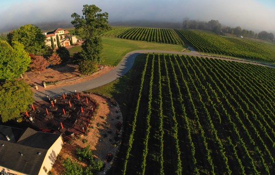 Raffaldini winery online