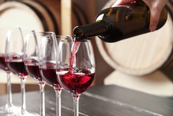 Raffaldini Vineyards Patrimonio Salon Tasting:  Saturday, January 21, 2023 • 1:00pm-3:00pm Wine Club